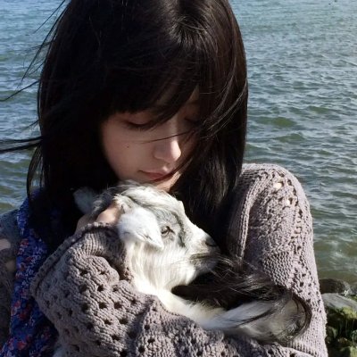 萌宠狐狸翻身记第2季全集